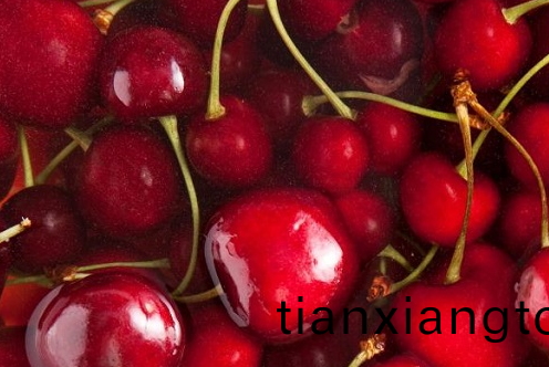 櫻桃(tao)冷庫(ku)​貯(zhu)藏(cang)溫(wen)度(du)
